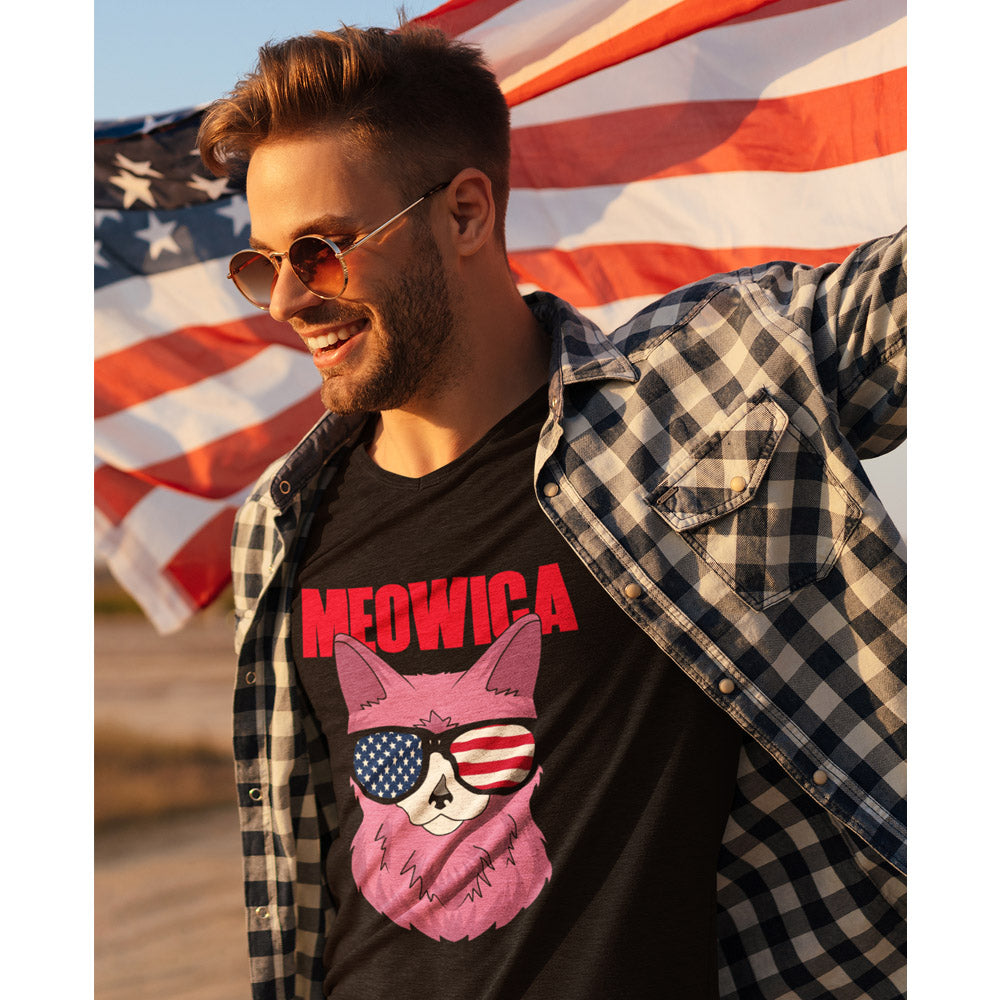 Cat-themed USA flag t-shirt
