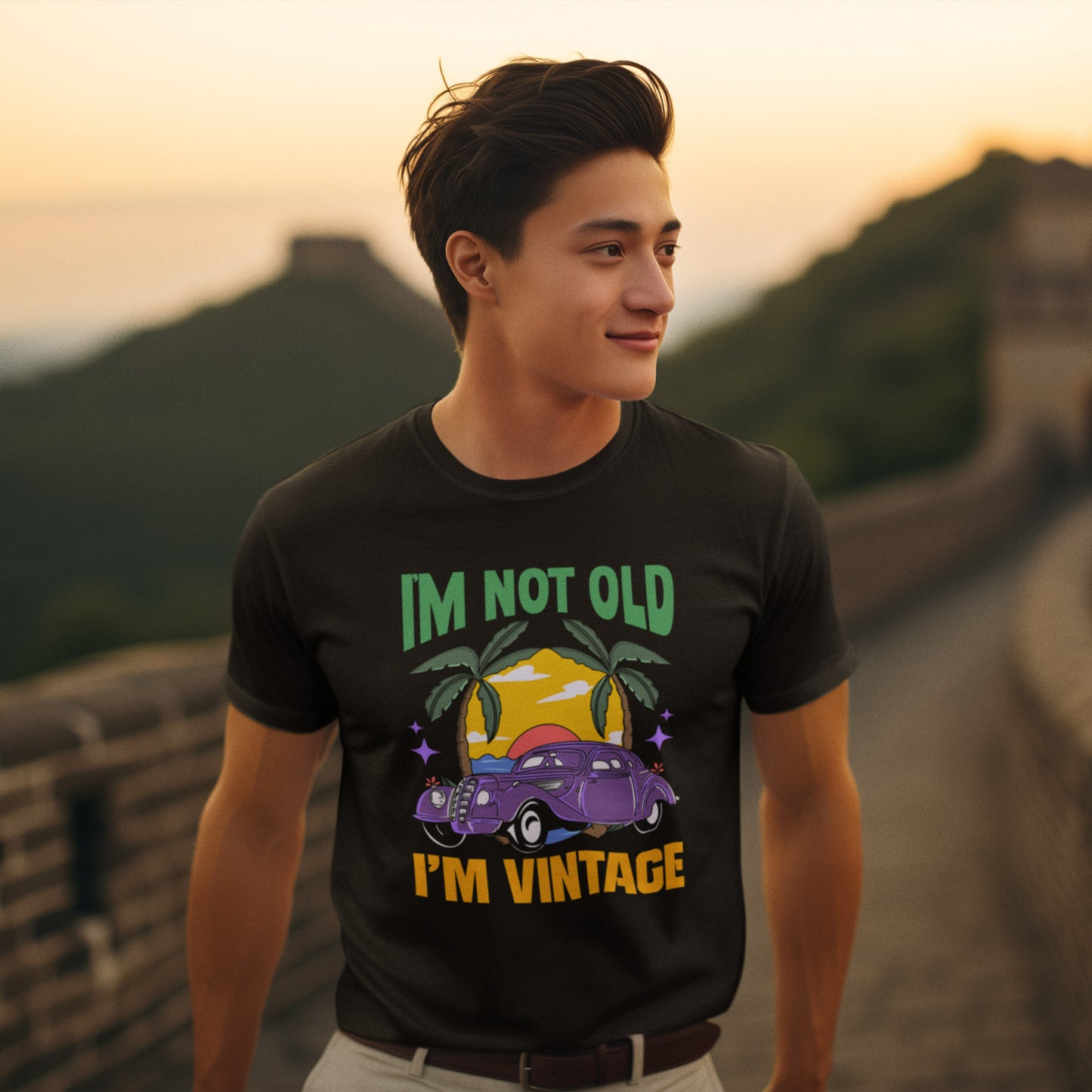 I'm Not Old I'm Vintage Men Vintage Themed T-shirt