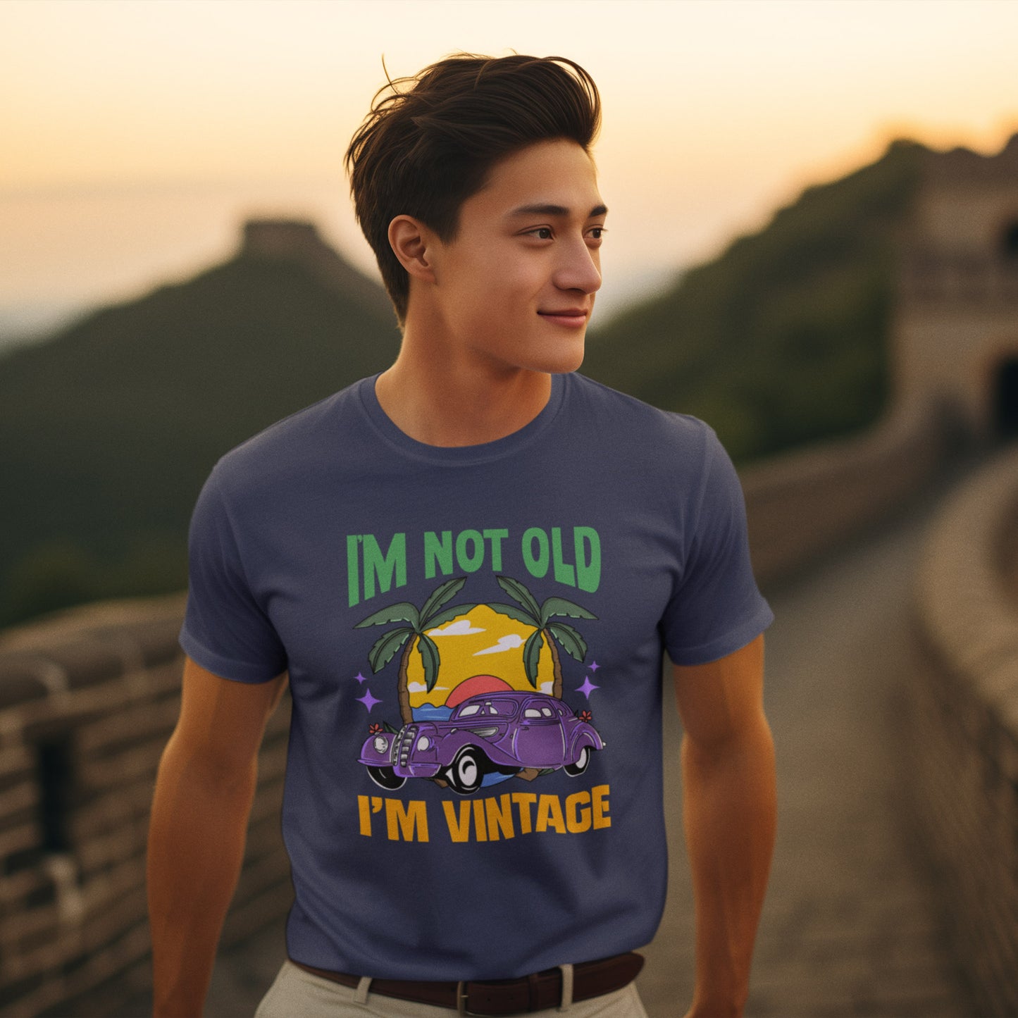 I'm Not Old I'm Vintage Men Vintage Themed T-shirt