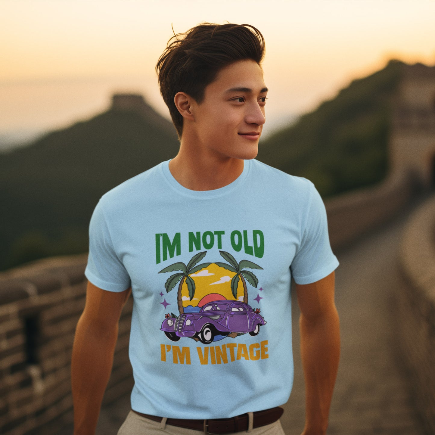 I'm Not Old I'm Vintage Men Vintage Themed T-shirt