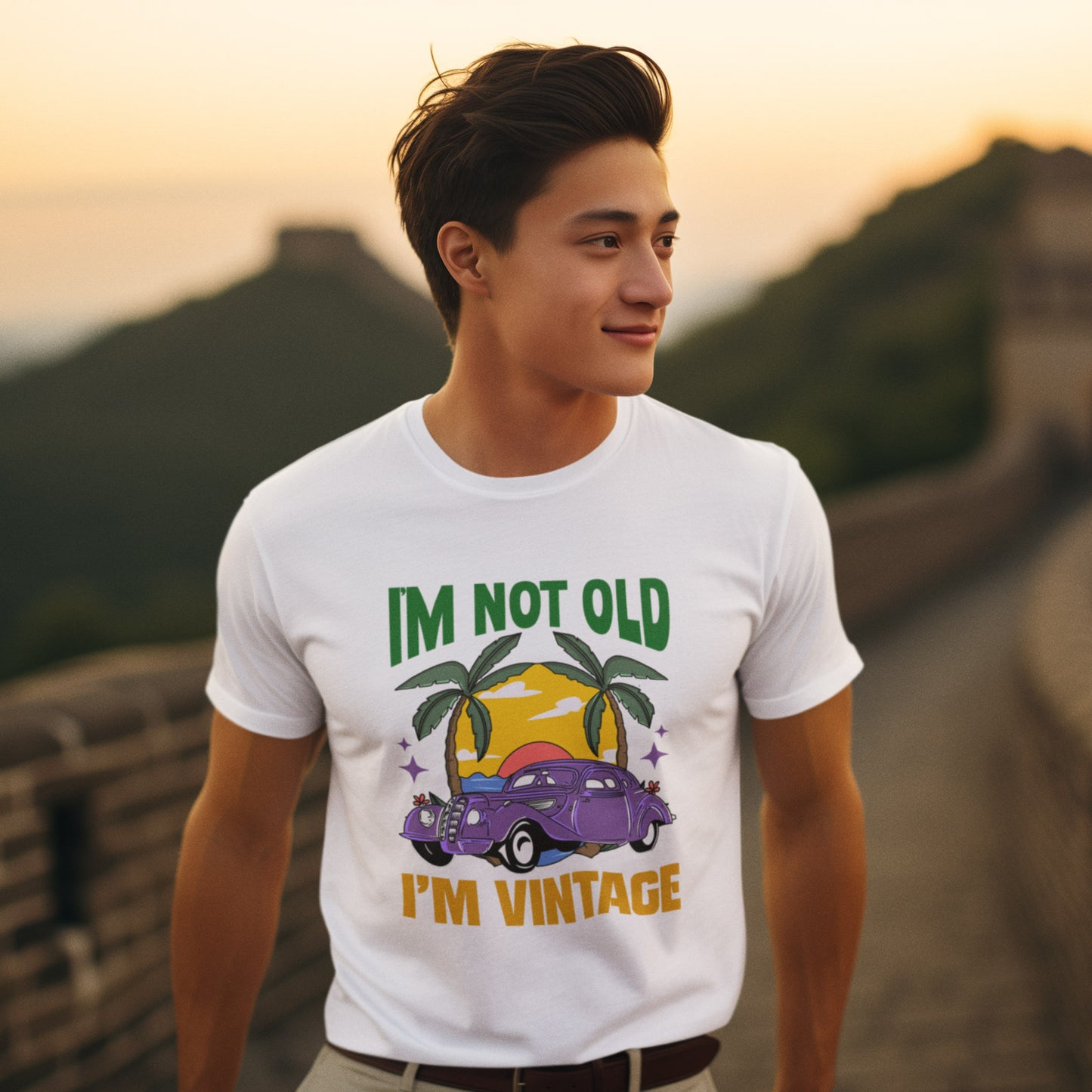 I'm Not Old I'm Vintage Men Vintage Themed T-shirt