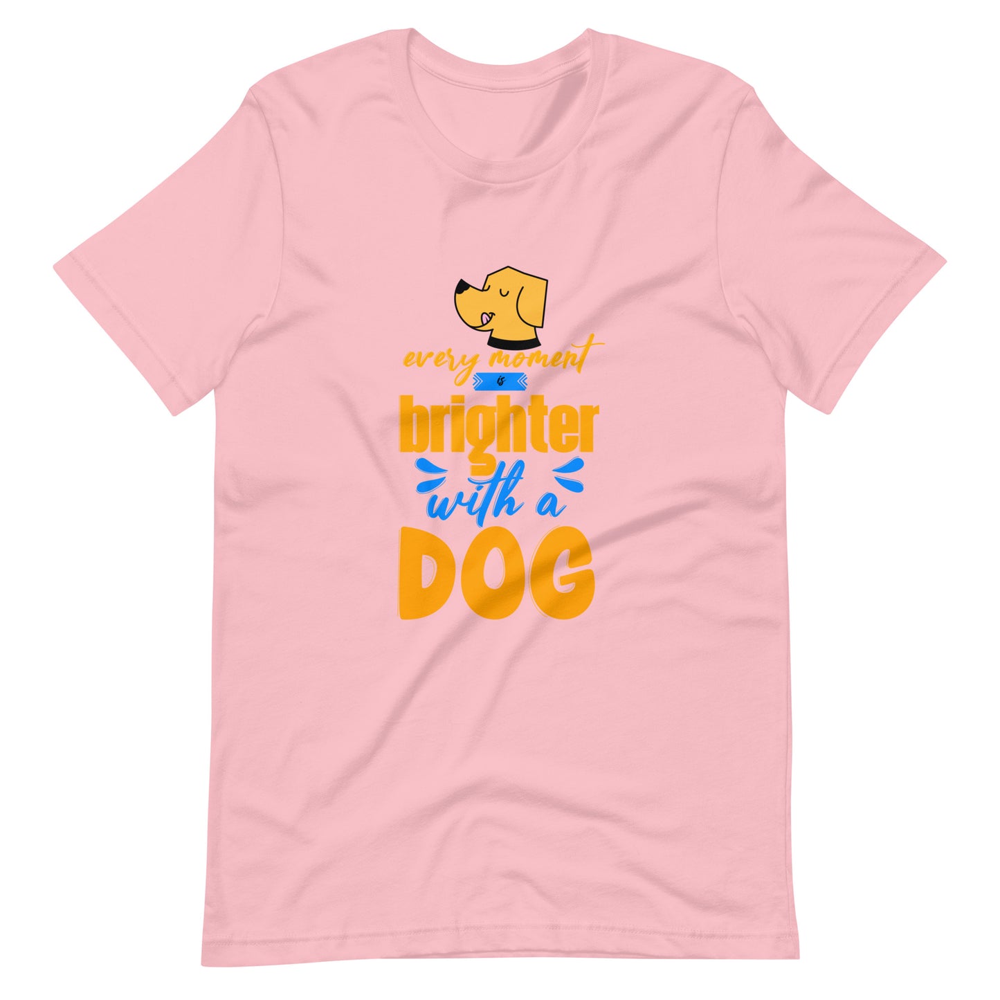 Matching Dog and Owner Costumes