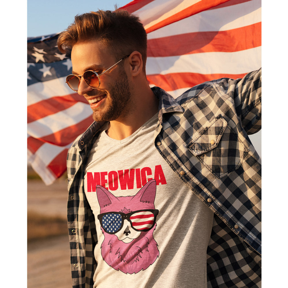 Patriotic cat t-shirt