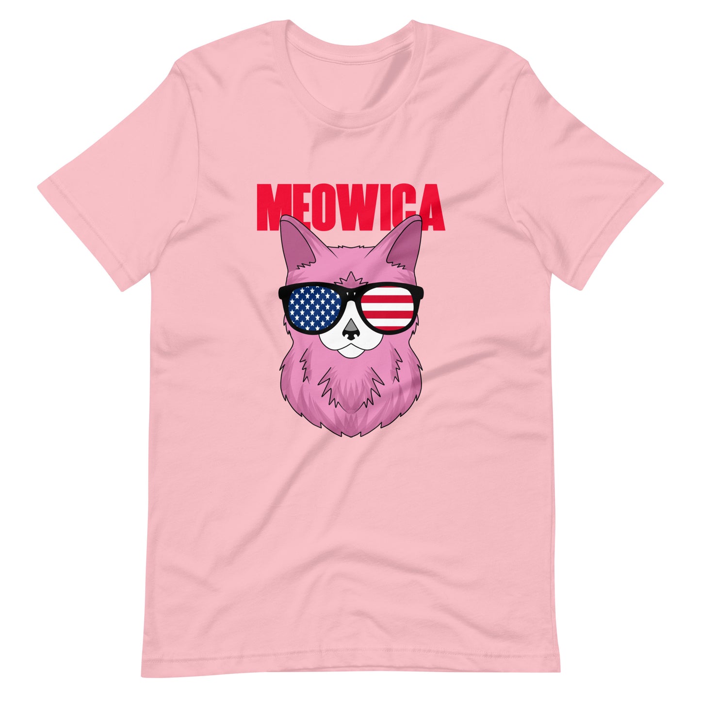 Cat USA flag graphic tee